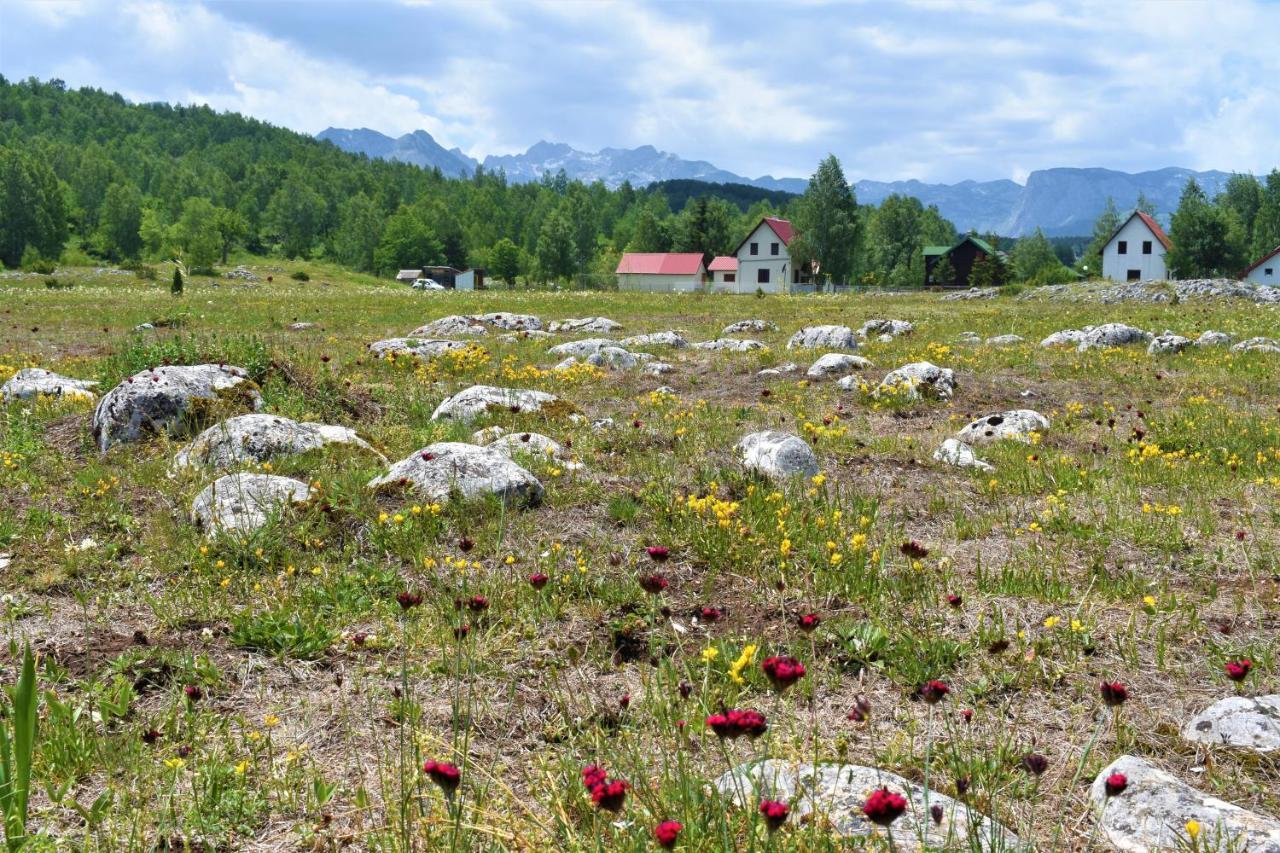Pajo Apartments Zabljak  Bagian luar foto